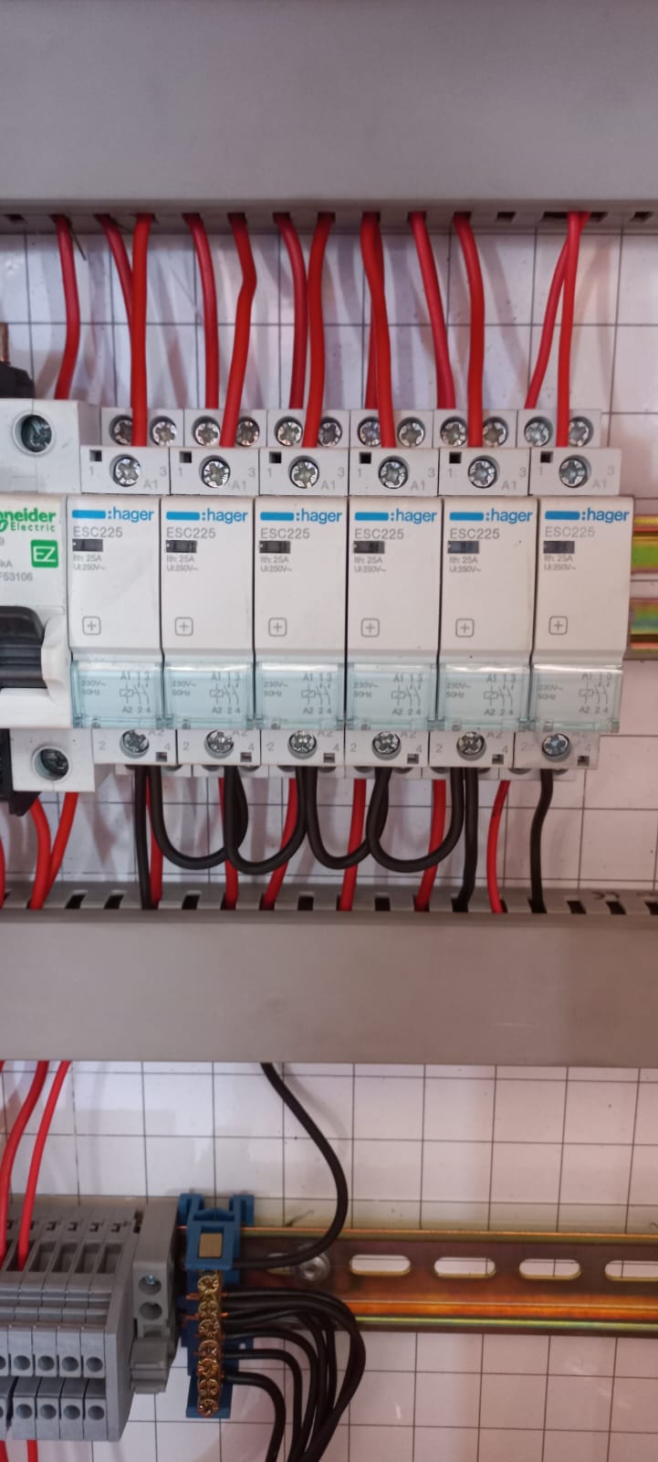 WhatsApp Image 2025-11-17 at 11.36.04